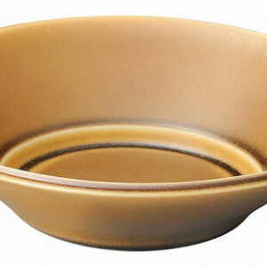 光洋陶器 KOYO スパダ コーパル 21cm浅ボウル 美濃焼