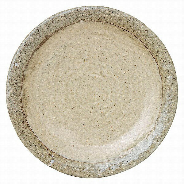 光洋陶器 KOYO 白露 石目22.5cm皿