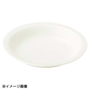 光洋陶器 KOYO ボンボヤージ 22.5cm パスタ皿 12420011