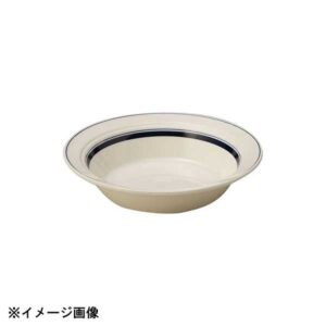 光洋陶器 KOYO カントリーサイド ネイビー ブルー 22cm スープパスタ 13428022