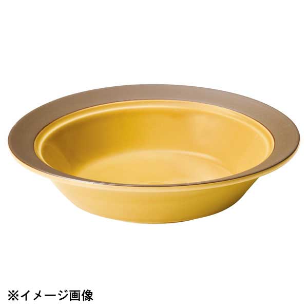 光洋陶器 KOYO カントリーサイド ハニーアンバー 19cm スープボウル 13463023
