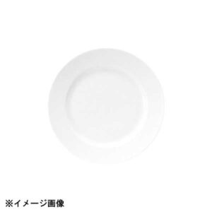 光洋陶器 KOYO プラージュ 28cm リムプレート 13700002