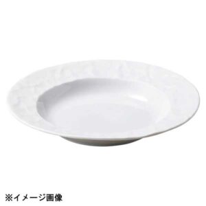 光洋陶器 KOYO グラヴェール パピエ 25.5cm リムスープボウル リムビスク 13700110