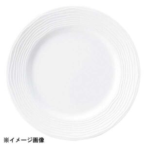 光洋陶器 KOYO グラヴェール ヴァーグ 27cm リムプレート リムビスク 13700302