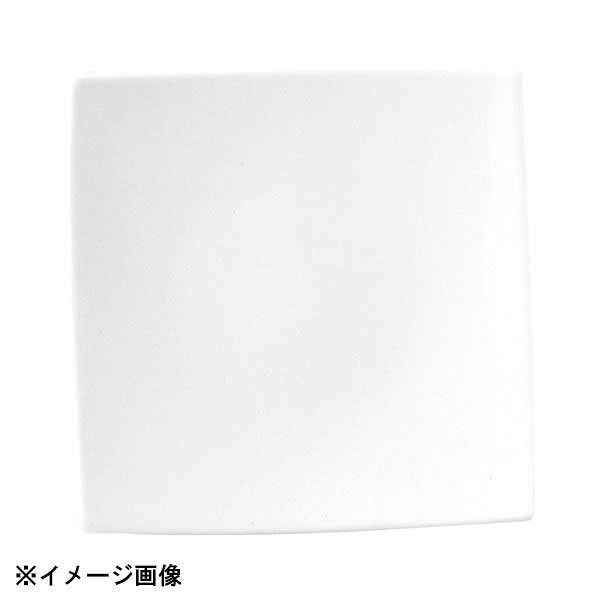 光洋陶器 KOYO トロンバ 25cm スクエアープレート 17600062