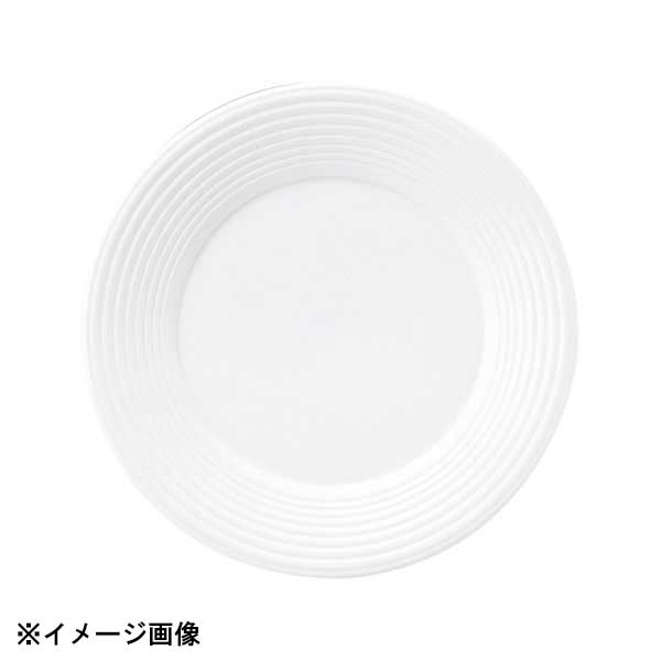 光洋陶器 KOYO アルバ 19.5cm リムプレート 17800006