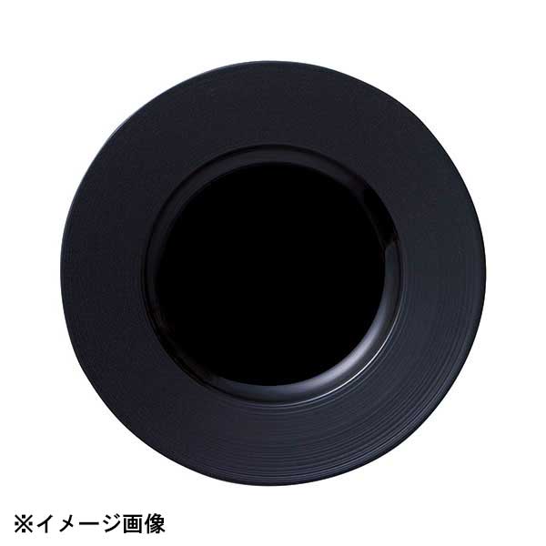 光洋陶器 KOYO ナイトストリーム 22cm リムプレート マット&シャイニーブラック 19630005