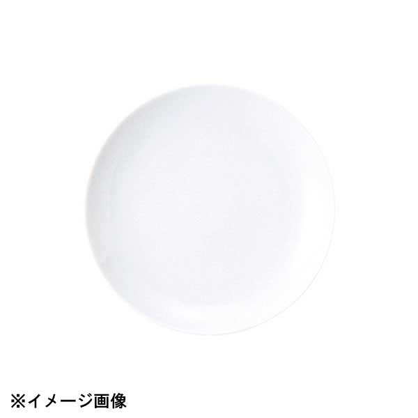 光洋陶器 KOYO 威力 20.5cm クープ皿 24800005