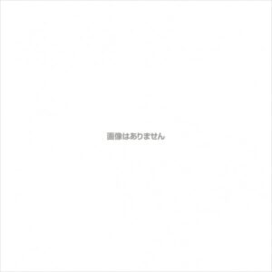 新潟精機 剣匠 折込万能鋸 210mm 1本