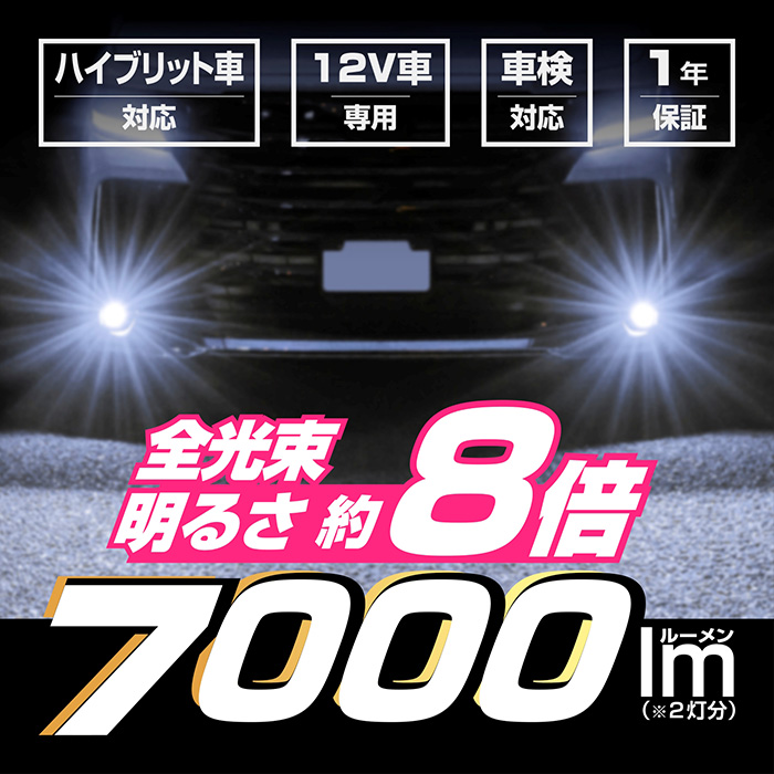 LEDフォグバルブ 6500K L1B - 画像 (4)