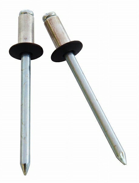 新潟精機 SK カラーブラインドリベット 黒 (5-3) SK-529BK 入数:1セット(20本入) Color blind tribet