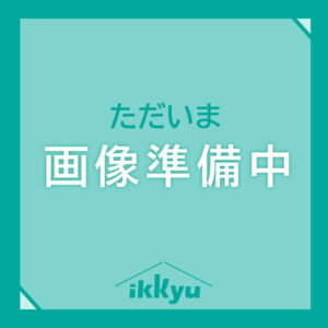 新輝合成 たためるシートまな板 ミニ まな板 カッティングボード 料理 調理 調理器具 キッチン キッチン用品 キッチンツール 本格 丁寧 便利アイテム 目的別 用途別 サイズ別 調理場 厨房 仕事用 家庭用 包丁 ナイフ 骨抜き魚 ピンセット おろし金
