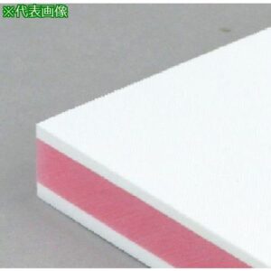 ■サンヨー カラー抗菌業務用まな板 CKP-20S〔品番:CKP20S〕【8163626:0】[送料別途見積り][掲外取寄][店頭受取不可]