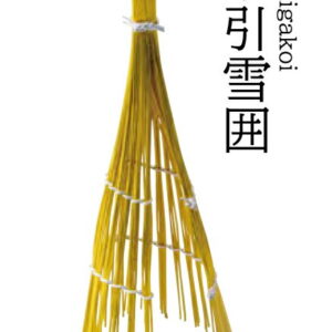 水引雪囲 〜和のおもてなし〜 お正月 おせち 料理 飾り迎春 賀正 水引 業務用 和食 和食器 懐石 食膳 和風 料理飾り ]。