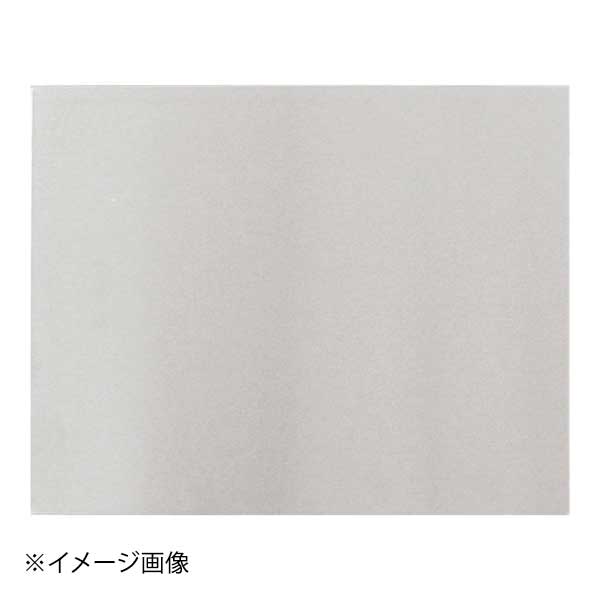 遠藤商事株式会社 クーリングプレート 1/2 CT101