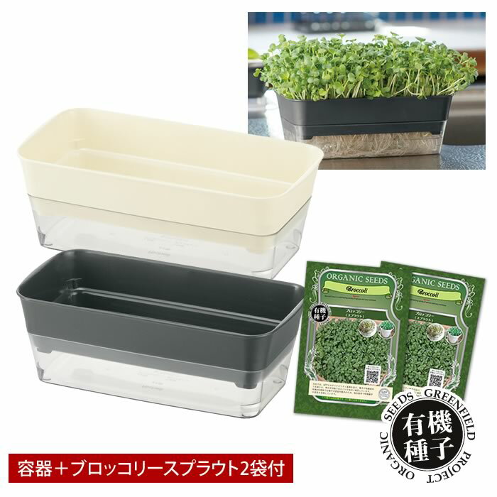 ブロッコリースプラウト 栽培 キット 栽培セット 有機種子 種 2袋付 水耕栽培 容器 スプラウト栽培 スプラウトファーム 種 家庭菜園 自宅 簡単 栽培