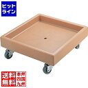キャンブロ グラスラックドーリー コーヒーベージュ CD2020