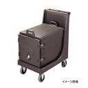 キャンブロ カムドーリーハンドル付 CD100H (131) D / B